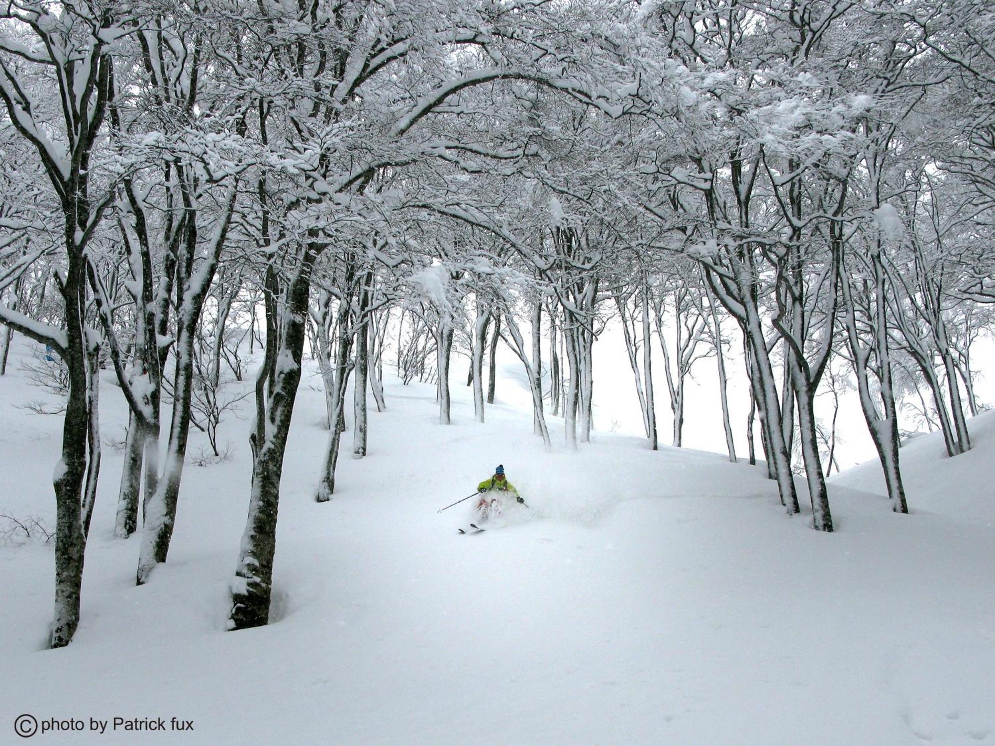 Otari Hotel Green Plaza Hakuba מראה חיצוני תמונה