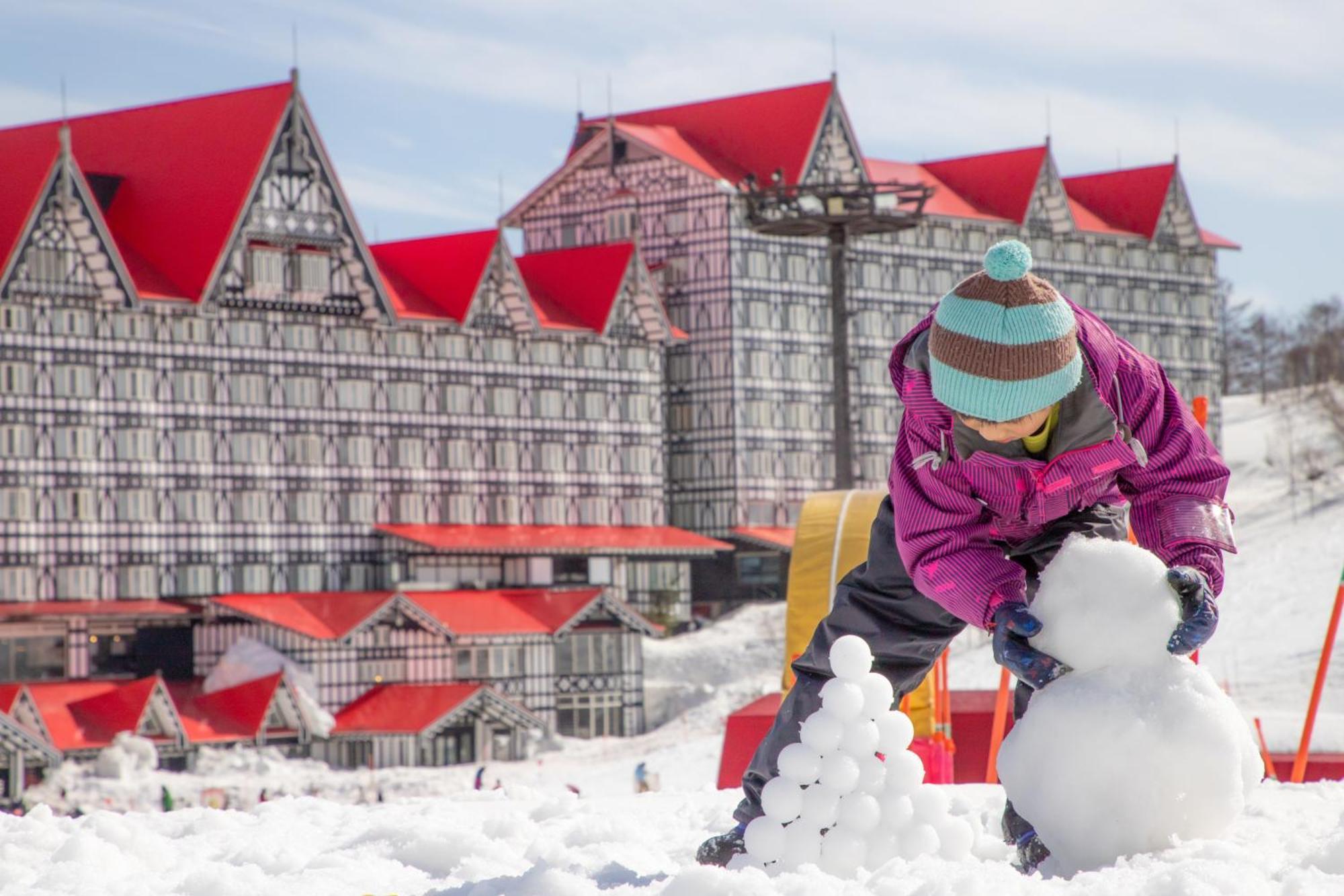 Otari Hotel Green Plaza Hakuba מראה חיצוני תמונה