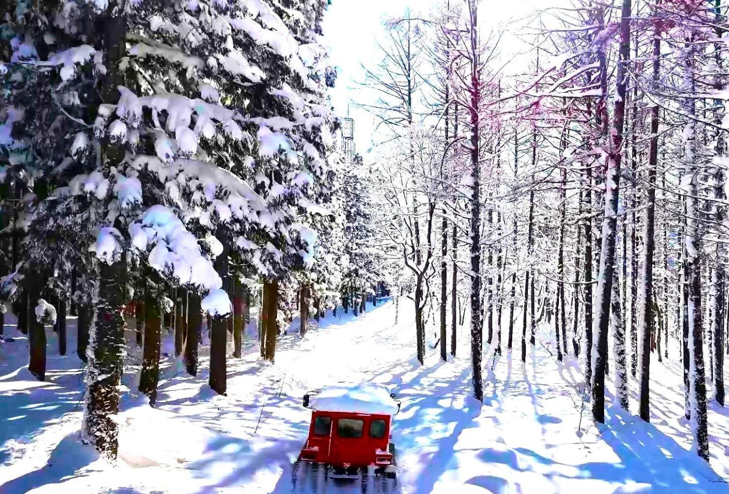 Otari Hotel Green Plaza Hakuba מראה חיצוני תמונה