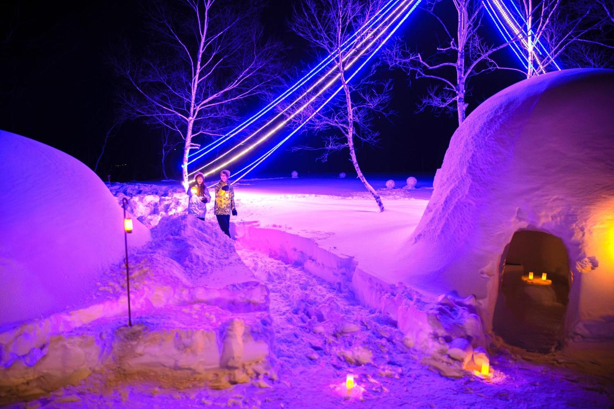 Otari Hotel Green Plaza Hakuba מראה חיצוני תמונה